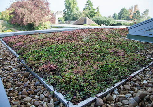 Sandall Roofing - Green Roofing